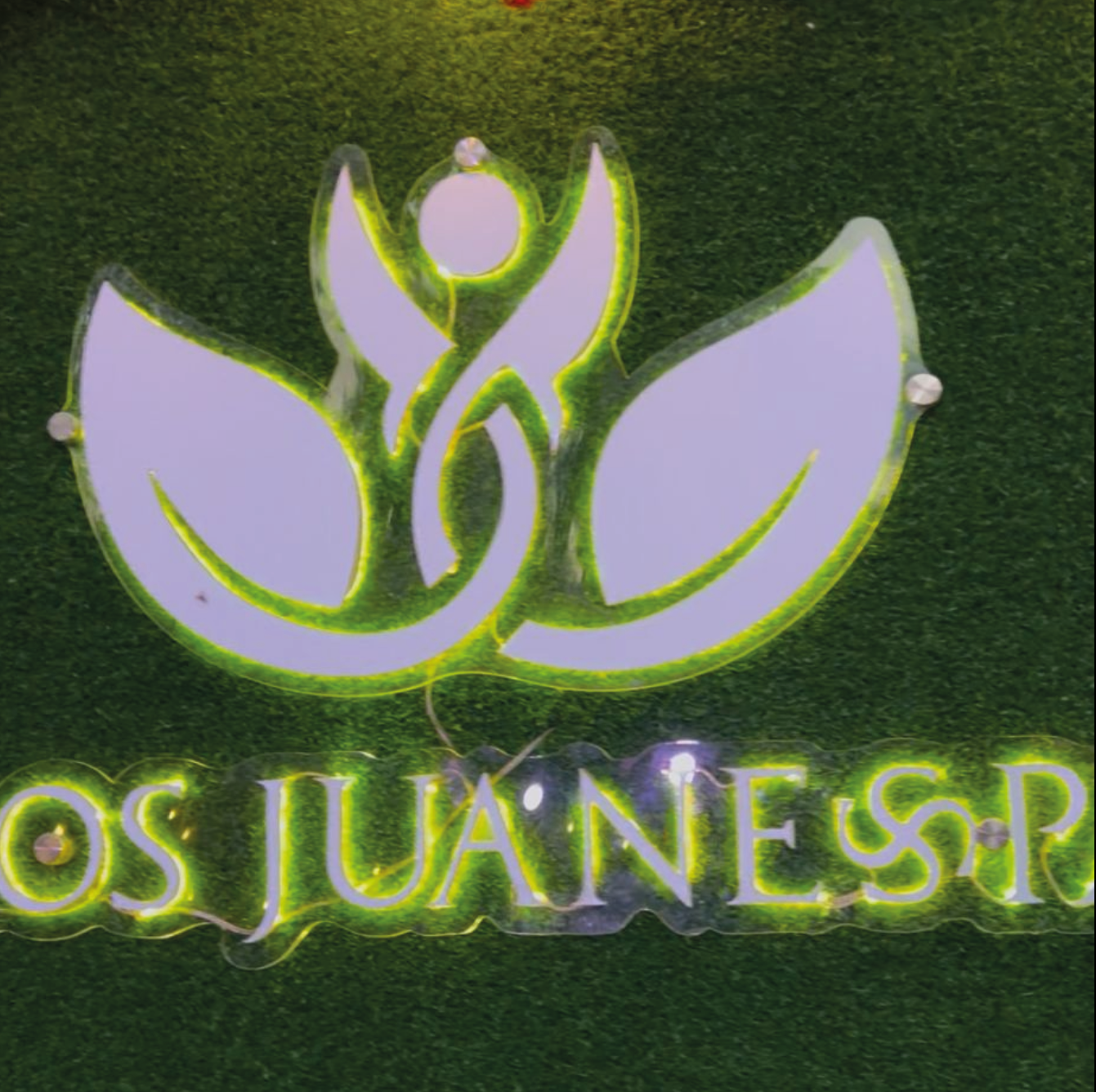 SERVICIOS captura de pantalla 2026 03 06 194637